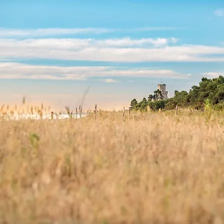 公寓 Palazzo Del Mare Int7 Silvi *